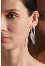 Load image into Gallery viewer, Evening Out Earrings
